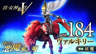 페르소나 3 리로드 – 발키리 / LV.10 (페르소나 3 리로드 페르소나 전서)